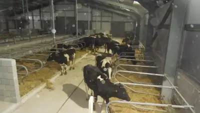 Zakon.kz, фото - Новости Zakon.kz от 03.10.2017 15:41