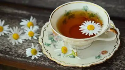 pixabay.com, фото - Новости Zakon.kz от 25.09.2021 08:14