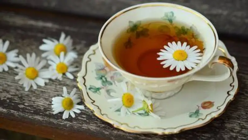 Горячий чай может вызывать рак - гастроэнтеролог