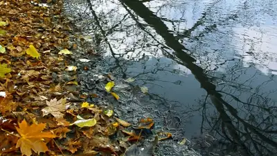 Zakon.kz, фото - Новости Zakon.kz от 28.10.2015 22:35