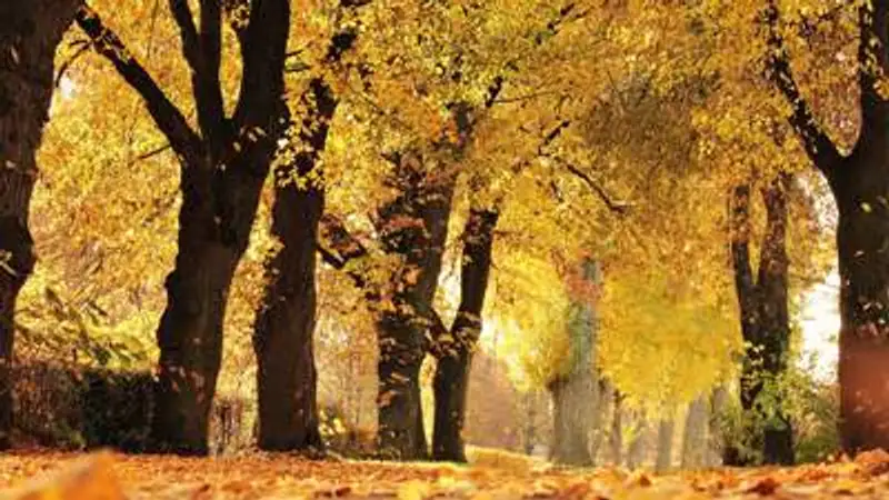 , фото - Новости Zakon.kz от 04.10.2023 16:37