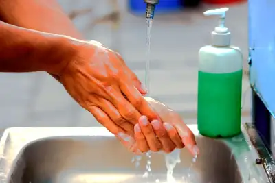 Как правильно мыть руки , фото - Новости Zakon.kz от 16.10.2023 12:24