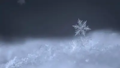 Saratovnews, фото - Новости Zakon.kz от 16.11.2018 09:30