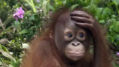 Zakon.kz, фото - Новости Zakon.kz от 24.12.2015 16:33