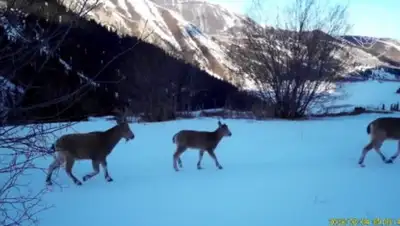 Instagram, фото - Новости Zakon.kz от 12.05.2020 17:41