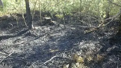 Zakon.kz, фото - Новости Zakon.kz от 10.06.2016 02:57