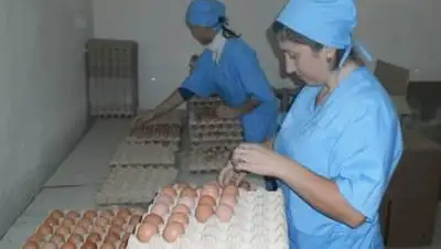 Zakon.kz, фото - Новости Zakon.kz от 14.11.2013 01:37