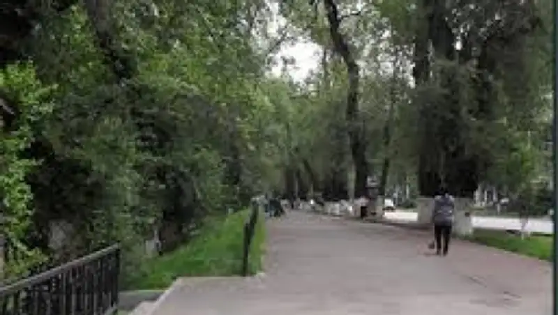 В Алматы завершена реконструкция еще одной улицы по проекту Гейла