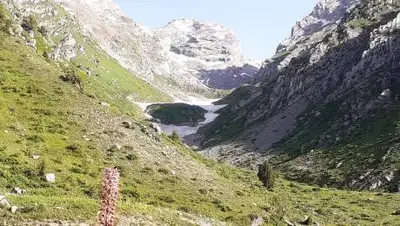 FacebookШамиль Рафиков, фото - Новости Zakon.kz от 08.06.2021 10:30