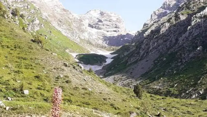 "Где-то в пещере" - экстрасенсы о пропавших в горах студентах