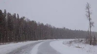 закрытие автодороги из-за ограничения видимости, фото - Новости Zakon.kz от 12.01.2023 20:00