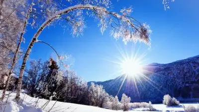 Zakon.kz, фото - Новости Zakon.kz от 26.01.2017 20:10