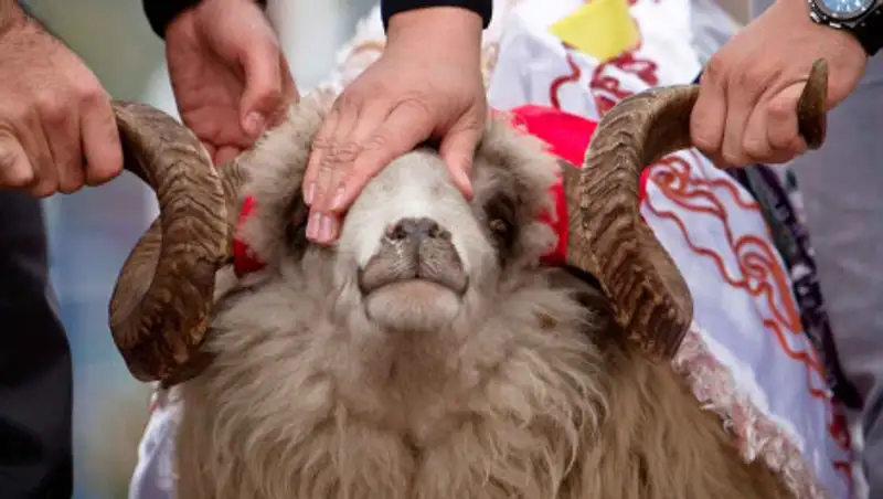 Список мест, где можно совершить жертвоприношения в Алматы