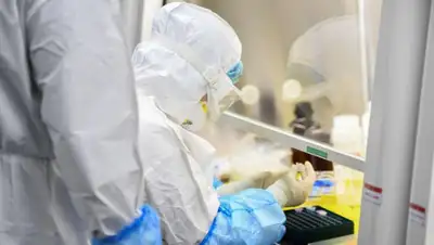 STR / AFP, фото - Новости Zakon.kz от 01.05.2020 17:58