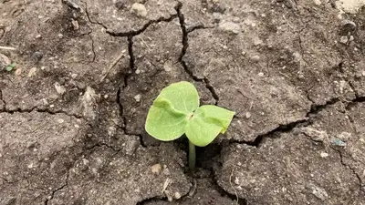 Возможен дефицит осадков: синоптики обратились к казахстанским фермерам, фото - Новости Zakon.kz от 27.03.2023 15:18