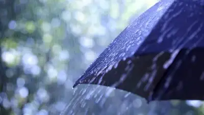 Zakon.kz, фото - Новости Zakon.kz от 27.04.2017 12:00