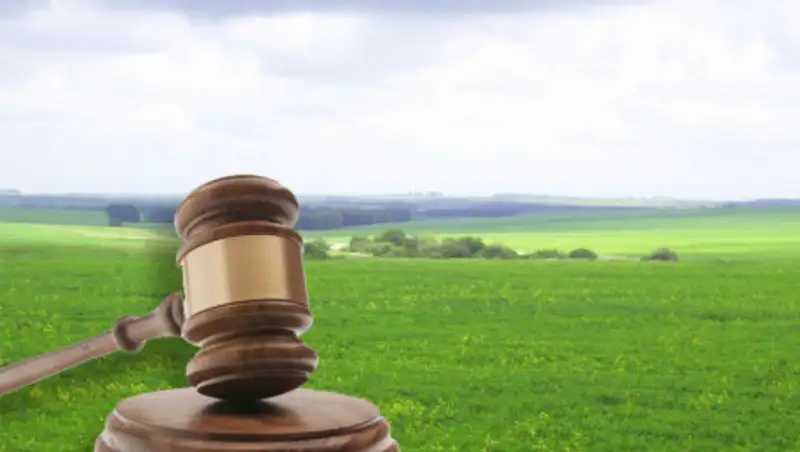 Больше сотни семей в Алматинской области судятся с акиматом за земельные участки