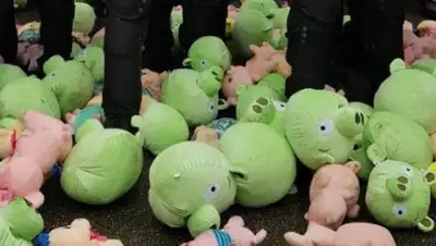 cont.ws, фото - Новости Zakon.kz от 16.03.2019 20:25