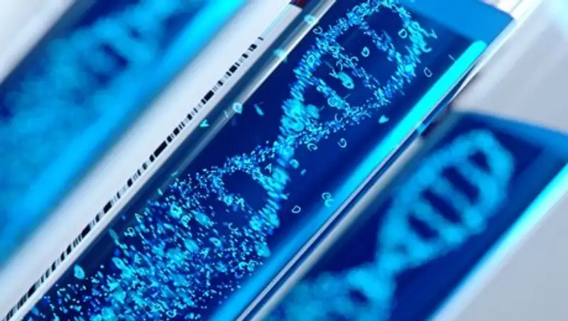 В Китае подтвердили факт рождения генетически модифицированных детей