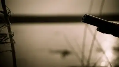 Zakon.kz, фото - Новости Zakon.kz от 09.02.2017 06:59