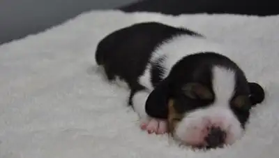 Zakon.kz, фото - Новости Zakon.kz от 11.07.2017 20:38