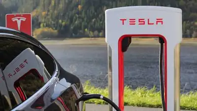 pixabay.com, фото - Новости Zakon.kz от 25.08.2021 17:55