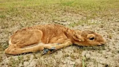 Zakon.kz, фото - Новости Zakon.kz от 05.06.2015 21:38