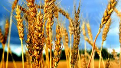 Zakon.kz, фото - Новости Zakon.kz от 13.10.2016 06:17