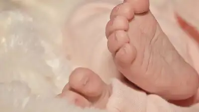 pixnio.com, фото - Новости Zakon.kz от 15.04.2019 09:29