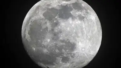 Zakon.kz, фото - Новости Zakon.kz от 25.08.2015 06:10