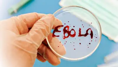 Zakon.kz, фото - Новости Zakon.kz от 25.10.2014 16:33