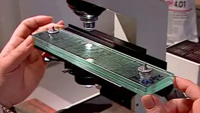 Zakon.kz, фото - Новости Zakon.kz от 04.06.2015 07:59