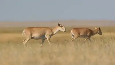 Zakon.kz, фото - Новости Zakon.kz от 26.05.2015 00:15