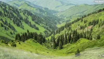 из открытых источников, фото - Новости Zakon.kz от 22.01.2019 12:31