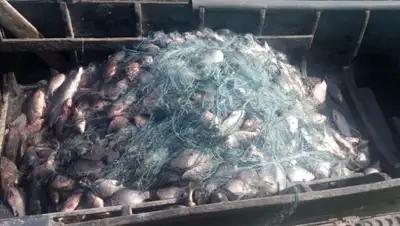 Zakon.kz, фото - Новости Zakon.kz от 11.09.2017 16:36