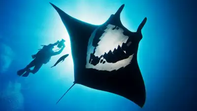 china.org.cn, фото - Новости Zakon.kz от 14.07.2019 07:00