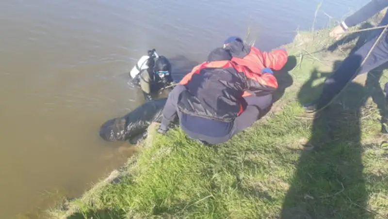 Мужчина утонул, спасая девушку в Акмолинской области
