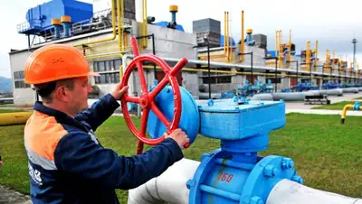 1News, фото - Новости Zakon.kz от 09.10.2019 21:28