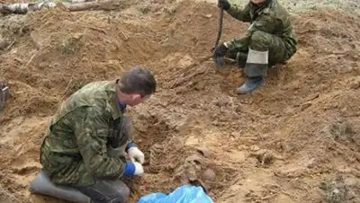 Zakon.kz, фото - Новости Zakon.kz от 13.11.2014 22:41