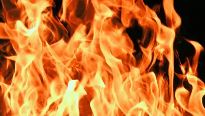 pxhere.com, фото - Новости Zakon.kz от 07.03.2019 10:30