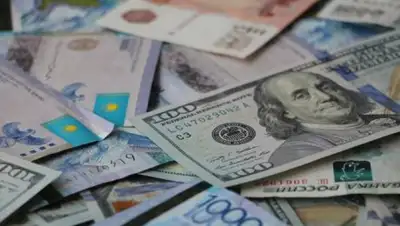 zakon.kz, фото - Новости Zakon.kz от 17.03.2018 11:42