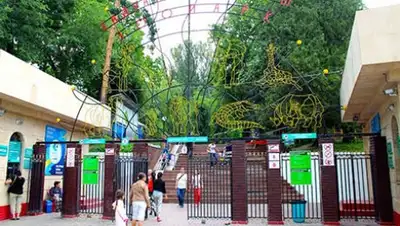 krisha.kz, фото - Новости Zakon.kz от 04.05.2018 17:35