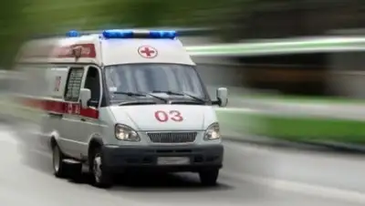 из открытых источников, фото - Новости Zakon.kz от 14.08.2018 20:20