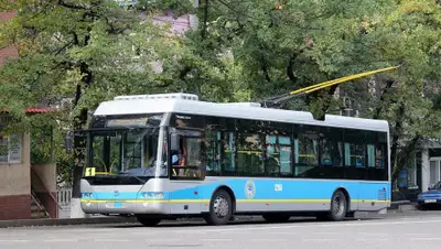 alatransit.kz, фото - Новости Zakon.kz от 12.08.2020 21:53