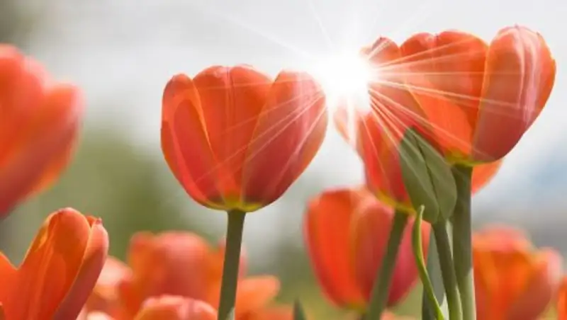 В пятницу в Казахстане сохранится ясная погода