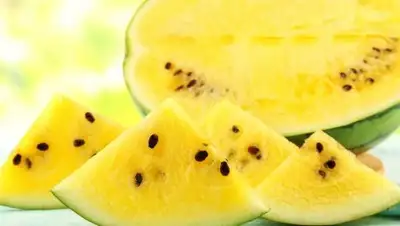 Zakon.kz, фото - Новости Zakon.kz от 01.09.2016 17:19