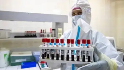 Рамблер, фото - Новости Zakon.kz от 21.08.2020 07:15