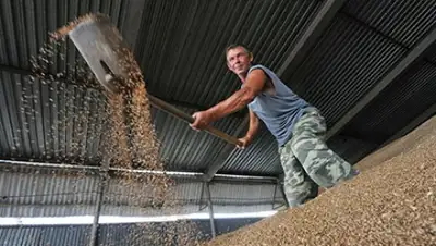 Zakon.kz, фото - Новости Zakon.kz от 23.12.2014 00:10