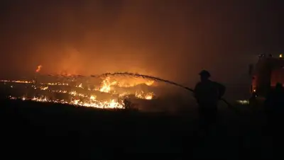 степь, фото - Новости Zakon.kz от 01.09.2022 01:09