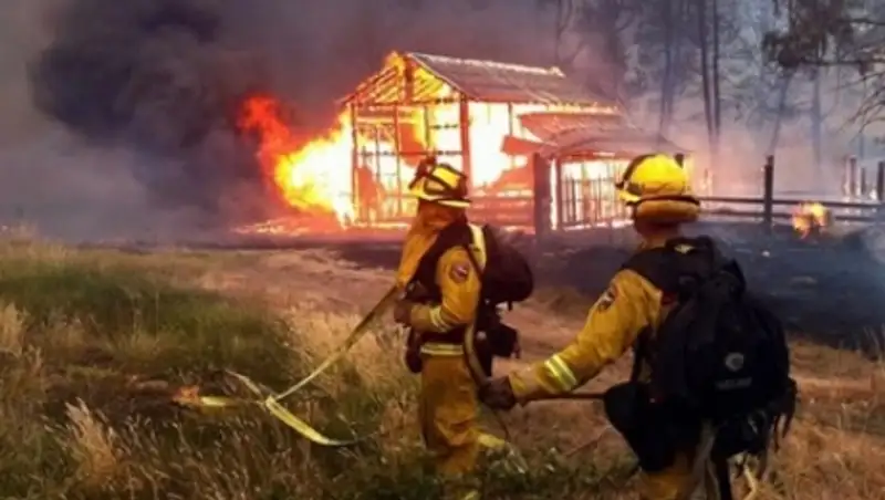 В Калифорнии лесные пожары уничтожили сотни строений